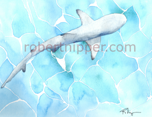 I painted this shark on stratmore paper with Cottman's paint.