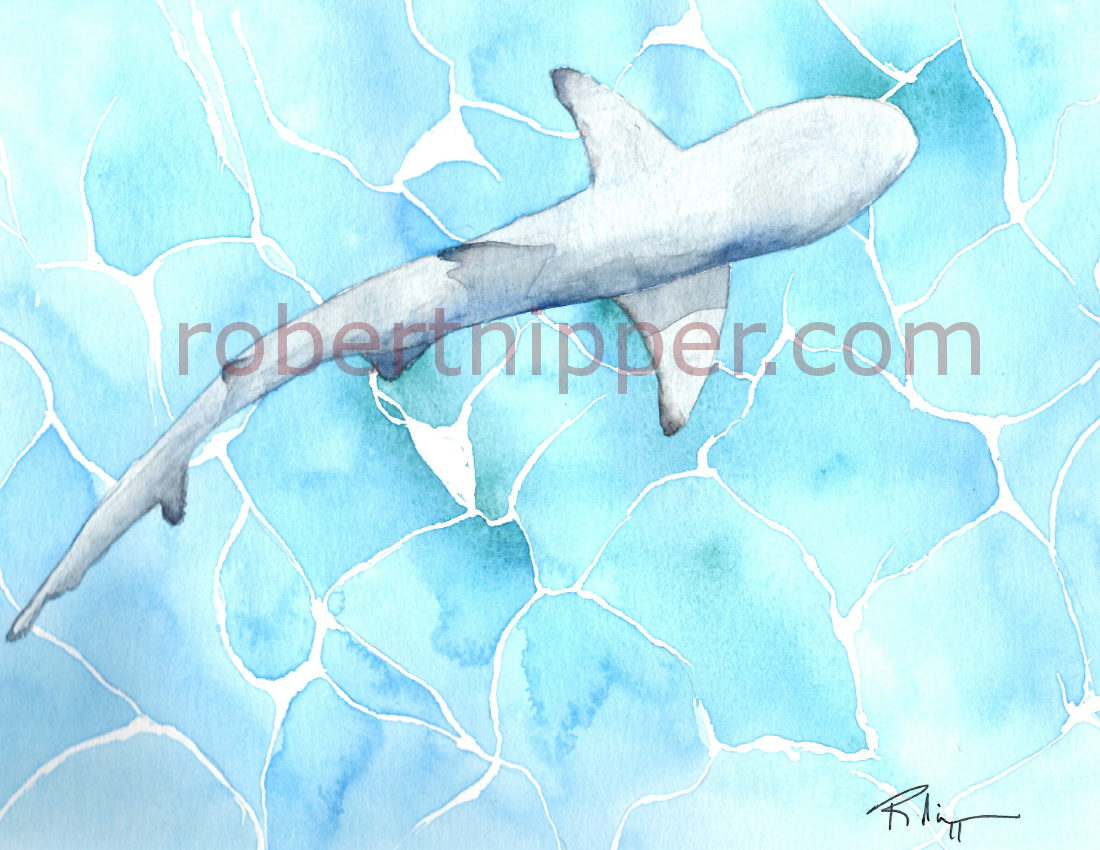 Shark watercolor painting