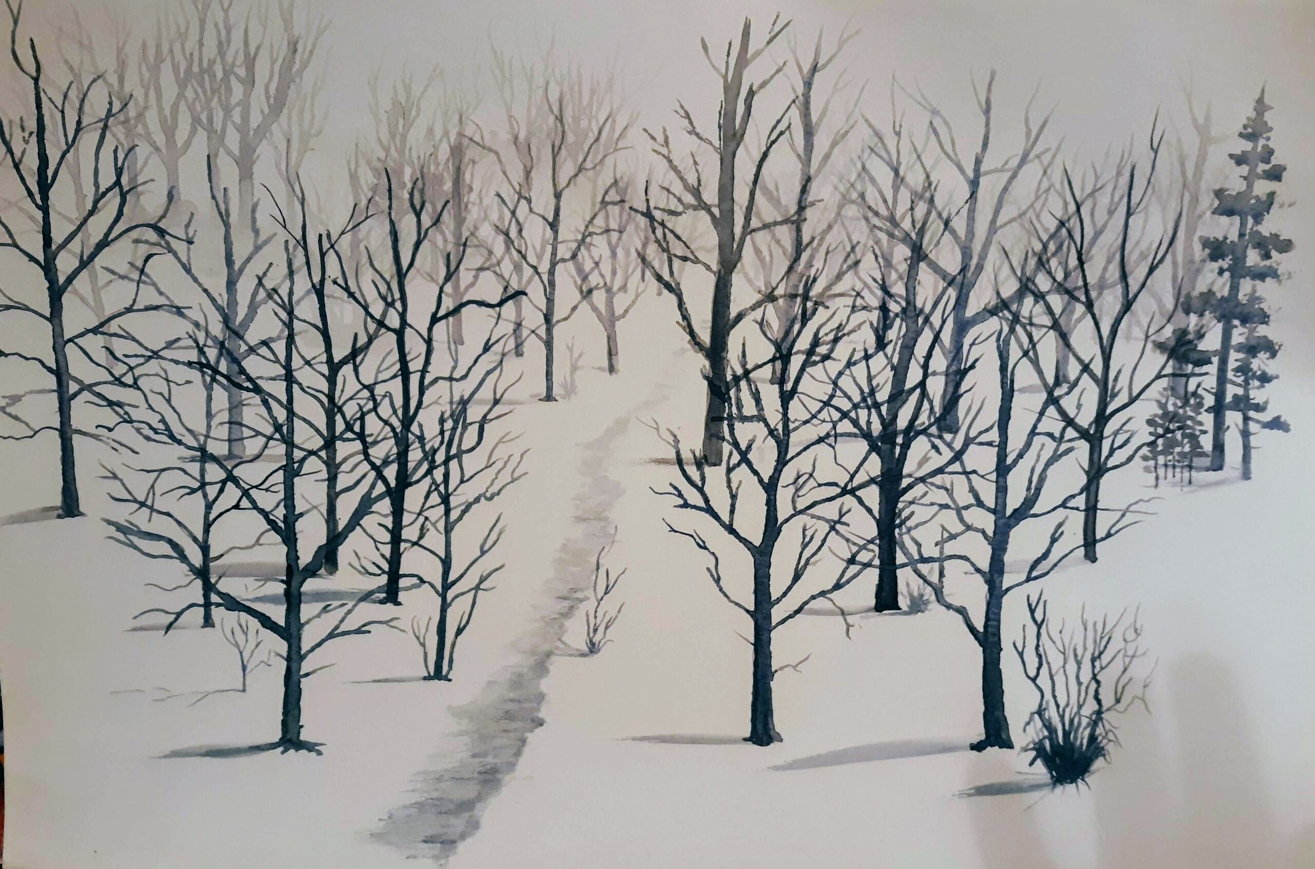 This is an 11 x 17 watercolor of a winter forest