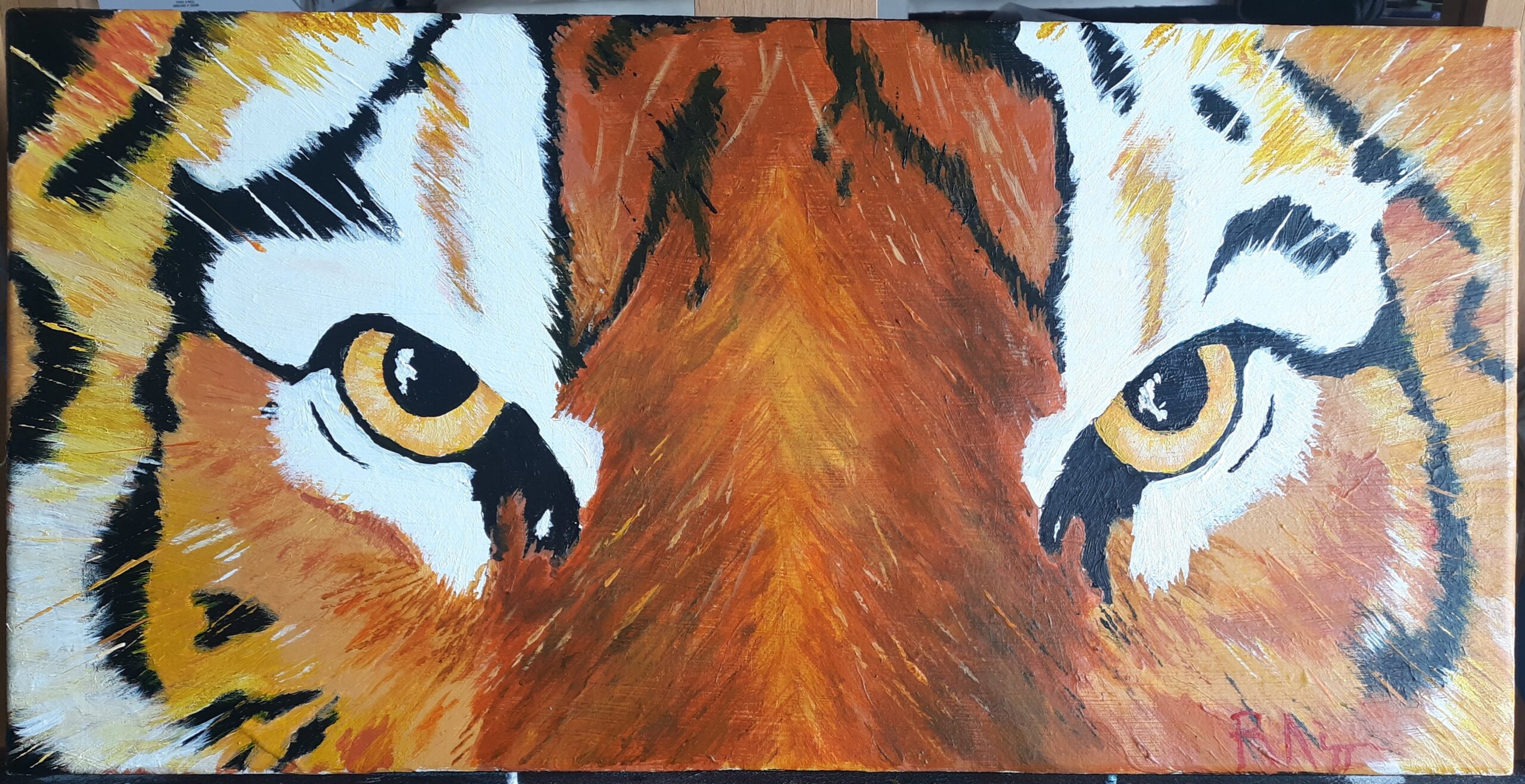 Tiger Eyes